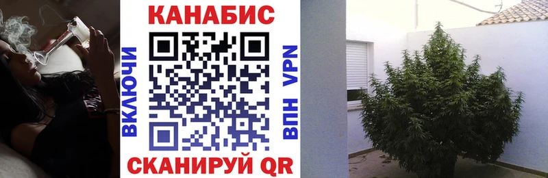 Марихуана марихуана Тайга